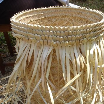 Porcupine basket