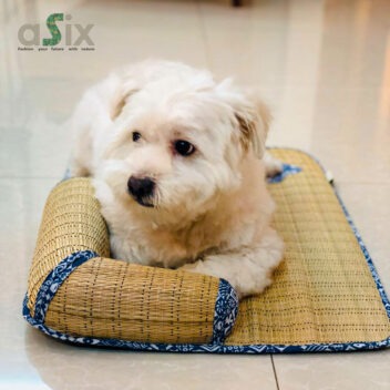 aSix - Pet Products